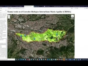 map comparison jawgmaps vs mapbox