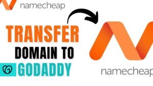 netim versus godaddy comparison