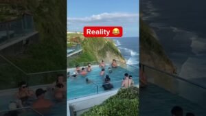 social media comparison bereal instagram